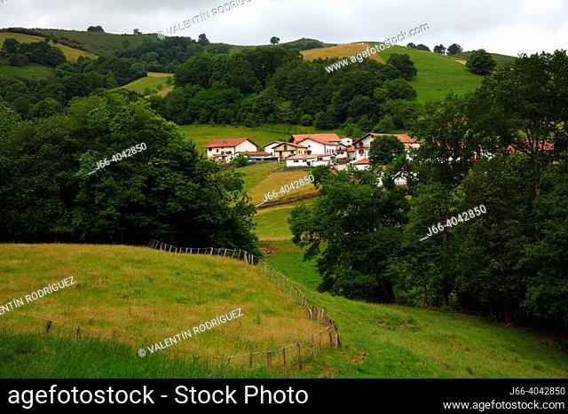 Rural landscape in the Gorostapolo of Erratzu in the Baztán valley. Navarra