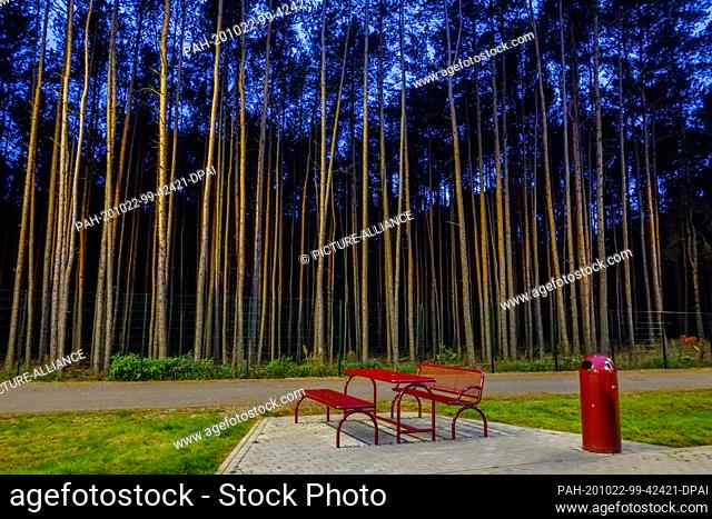 20 October 2020, Brandenburg, Michendorf: A red garbage can stands in the evening next to red picnic benches and a red picnic table in front of pine trees at...