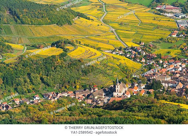 France, Bas Rhin 67, wines road, village of Andlau, vineyards in autumn aerial view