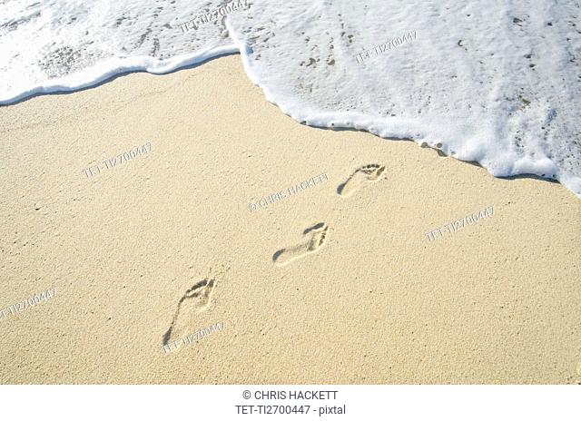 Footprints on Sandy Beach leading into sea