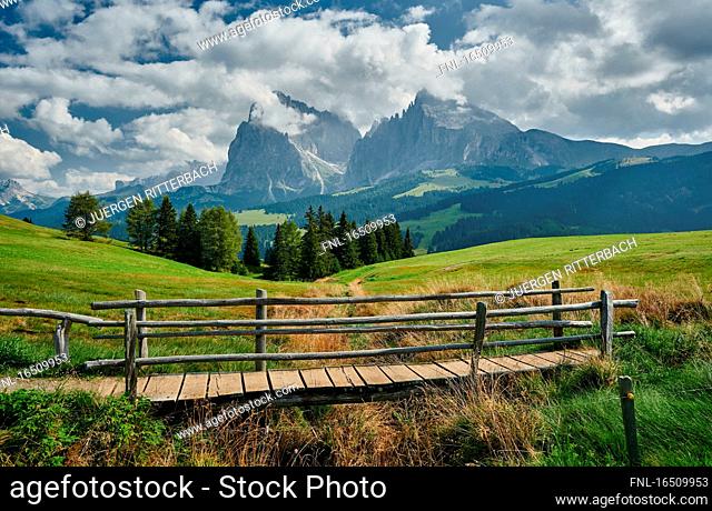 Seiser Alm, Dolomites, South Tyrol, Italy, Europe