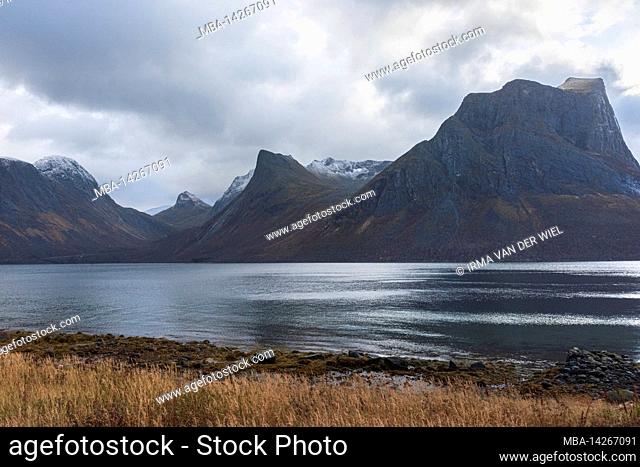Autumn impressions from the Norwegian island Senja above the Arctic Circle, Scandinavia and Norway pure, Beautiful light mood at the fjord
