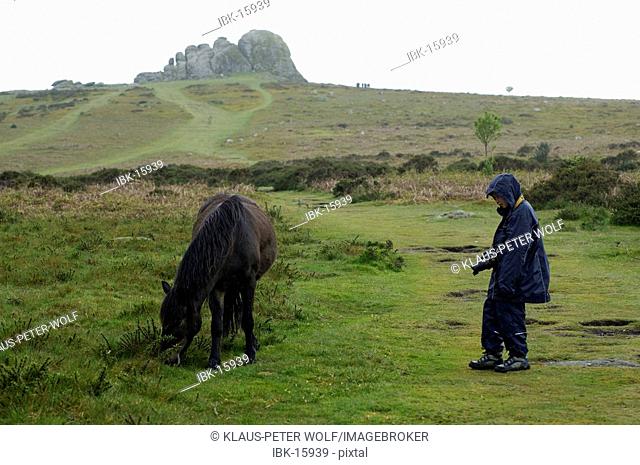 Child and Pony in front of Haytor Dartmoor National Park Devon England