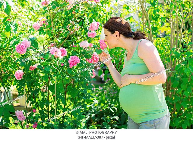 Schwangere Frau riecht an Rosen