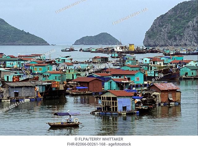 Vietnam - Floating village, Cat Ba Harbour, Halong Bay
