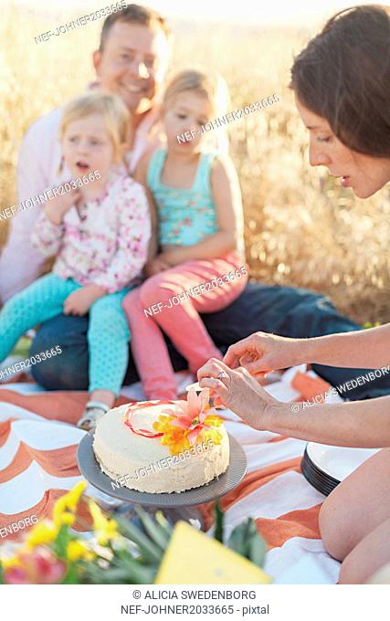 Woman cutting cake at picnic
