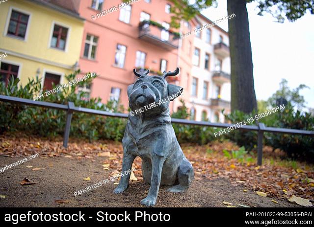 09 October 2020, Brandenburg: One of the more than 25 Waldmöpse stands at the Johanniskirche or Klosterstraße. The bronze sculptures created by the artist Clara...