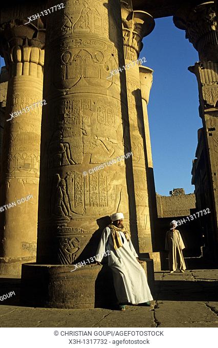 guards in the hypostyle hall, Kom Ombo Temple, Egypt, Africa