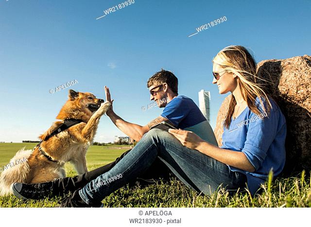 Happy couple playing with dog at park against clear blue sky