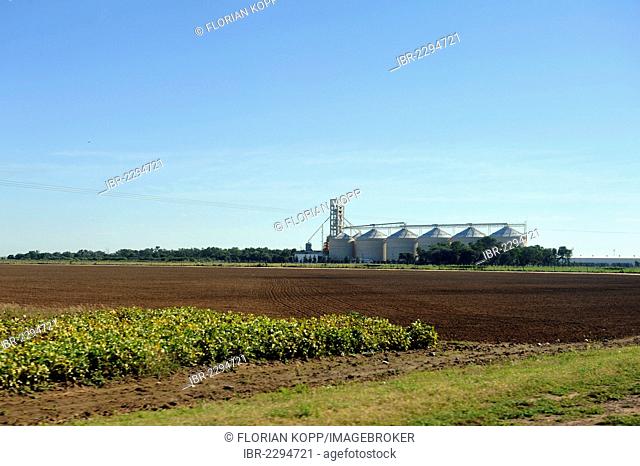 Fields, plantations, soybean monoculture, grain silos used for soybean storage, Formosa province, Argentina, South America