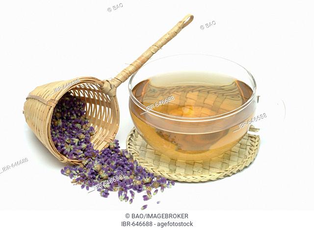 Lavender (Lavendula), herbal tea, medicinal tea