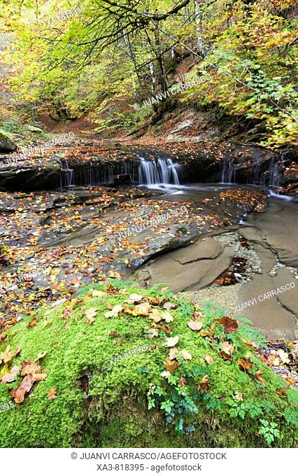 Stream at autumn, Selva de Irati forest, Navarra, Pyrenees, Spain