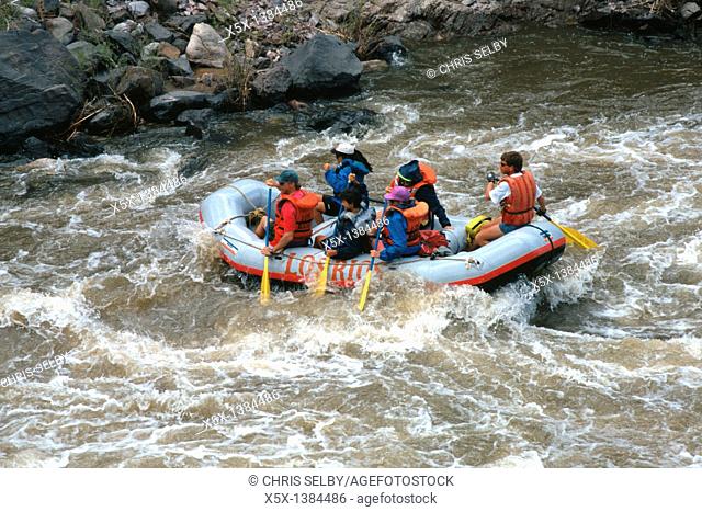 White Water Rafting on the Racecourse section of the Rio Grande River near Pilar, New Mexico, USA