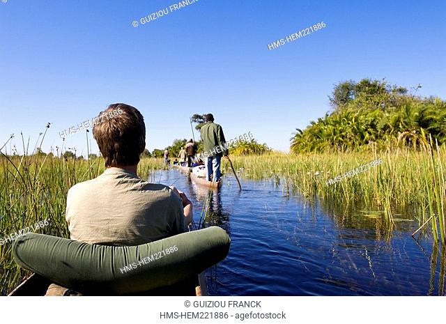 Botswana, North-west district, Okavango delta, crossing the marshes in mokoro, pirogue