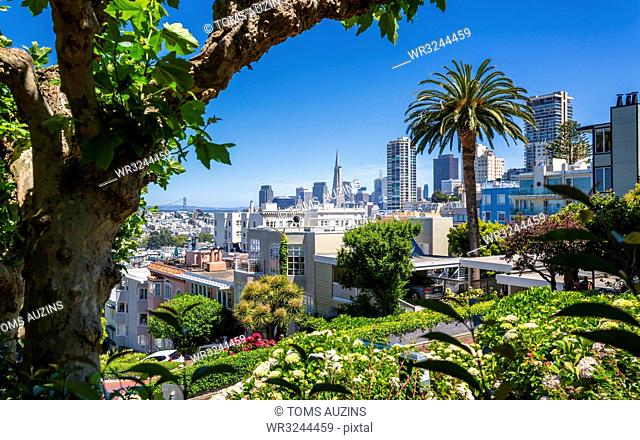 Downtown San Francisco with the Transamerica Pyramid from Lombard Street, San Francisco, California, United States of America, North America