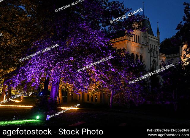 08 September 2023, Lower Saxony, Leer: A floodlit tree in the shadow of Evenburg Castle. The ANU theater from Berlin lets visitors dive into the world of...