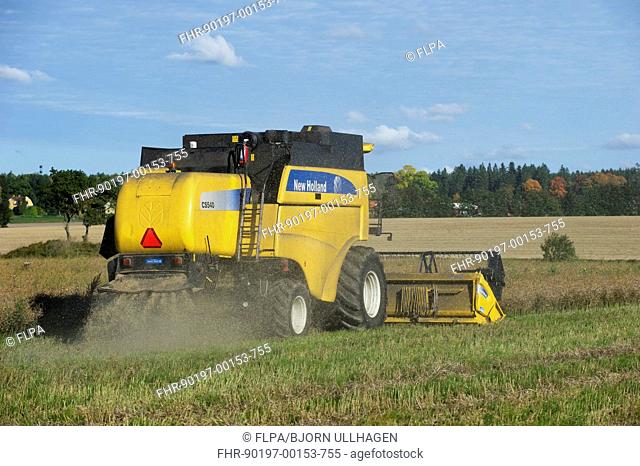 Oilseed Rape (Brassica napus) crop, harvested by New Holland CS540 combine harvester, Sweden, september