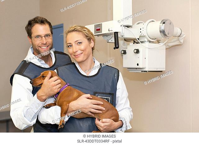 Veterinarians petting dog in office