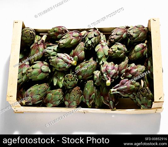 Baby artichokes in crate