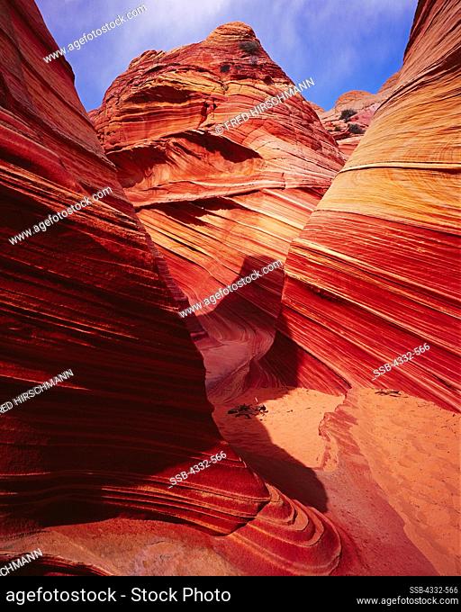 Wind-sculpted Navajo Sandstone slickrock and beehives at The Wave, Paria Canyon Vermilion Cliffs Wilderness, Arizona