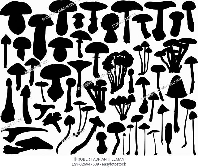 Collection of vector mushroom and toadstool outlines