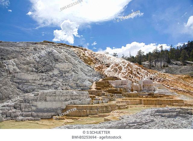 travertine terraces at Mammoth Hot Springs, USA, Wyoming, Yellowstone National Park