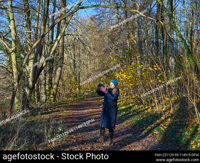 26 November 2023, Brandenburg, Falkenhagen: A woman takes a photo with her smartphone while walking in the autumnal countryside in Falkenhagen in East...
