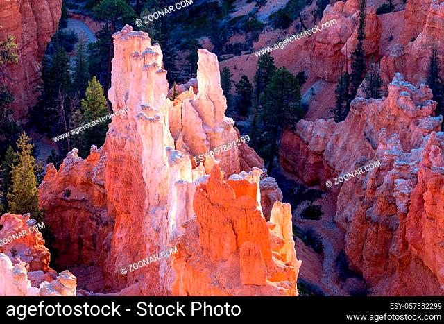 Bryce Canyon Sculpted by the Elements