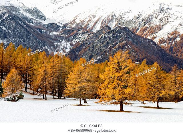 Orsiera Rocciavre Park, Chisone Valley, Turin, Piedmont, Italy, Autumn Orsiera Rocciavre Park
