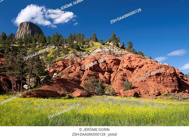 Red rock formation near Devils Tower in Wyoming, USA