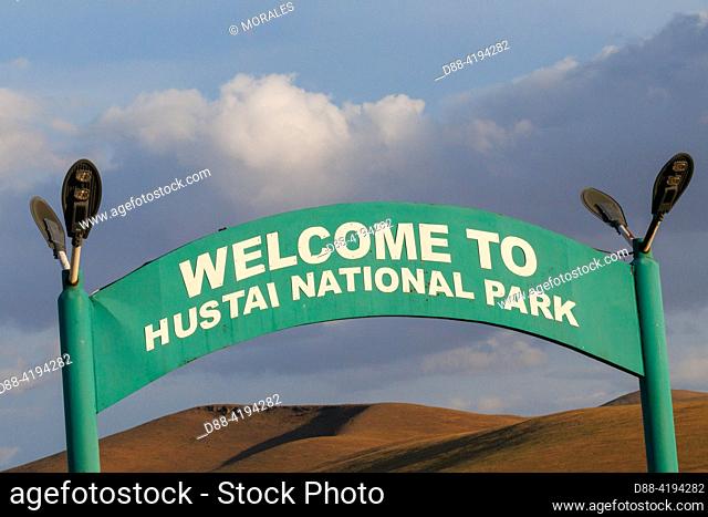 Asia, Mongolia, Hustai National Park, where the Przewalski Horse (Equus caballus przewalskii or Equus ferus przewalskii)