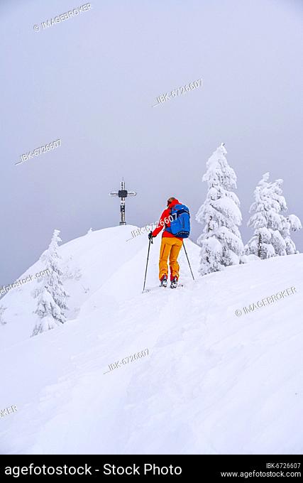Young woman on ski tour, ski tourers, summit of Rauhkopf in winter, Mangfall mountains, Bavarian Prealps, Upper Bavaria, Bavaria, Germany, Europe