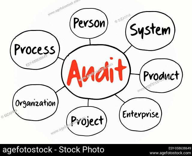 Audit evaluation area mind map flowchart, business concept for presentations and reports