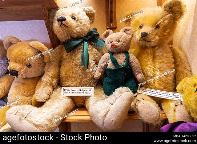 England, Dorset, Dorchester, The Teddy Bear Museum, Exhibit of Vintage Continental Teddy Bears