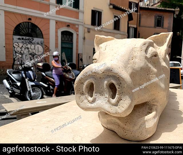 23 June 2021, Italy, Rom: The sculpture of a suckling pig in the middle of the Trastevere district. Where tourists stroll through the alleys during the day