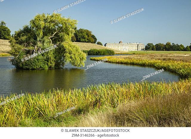 Summer afternoon in Petworth Park, West Sussex, England