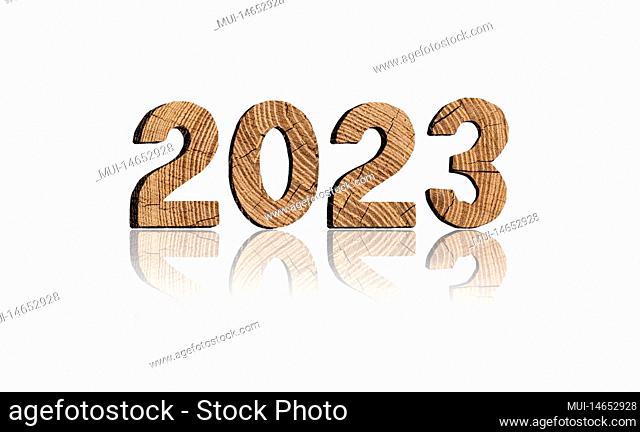 Year 2023 made of wood