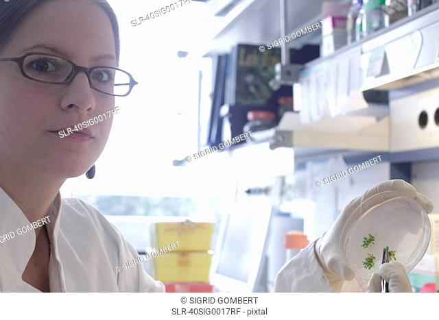 Scientist holding petri dish in lab