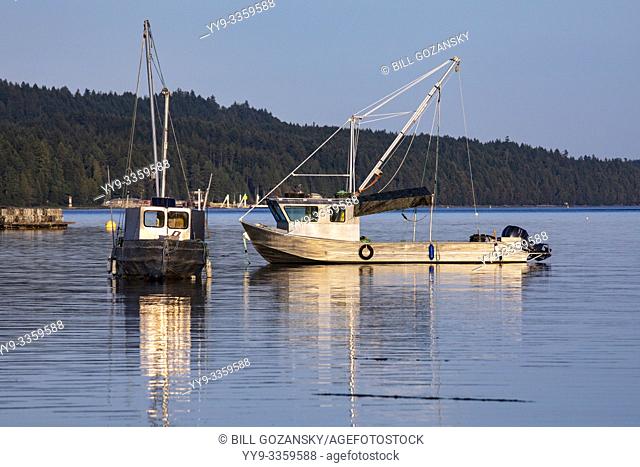 Oyster Boats at Union Bay in Baynes Sound, Vancouver Island, British Columbia, Canada