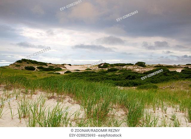 Sand dunes beach on the Cape Cod National Seashore on the Atlantic Ocean