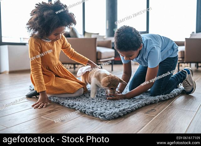 Friendship. Kids and the dog playing together on the floor