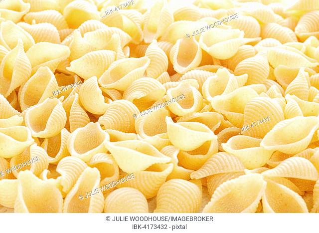 Conchigliette pasta shells