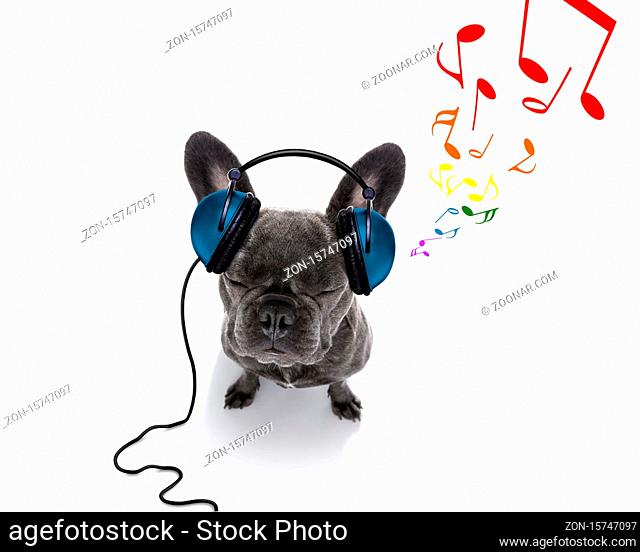 cool dj french bulldog dog listening or singing to music with headphones and mp3 player, notes all around, isolated on white background, and closed eyes