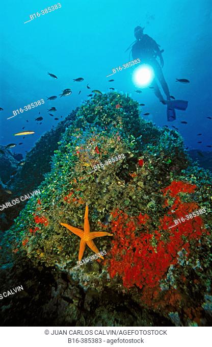 Sea floor with diver, Mediterranean Sea