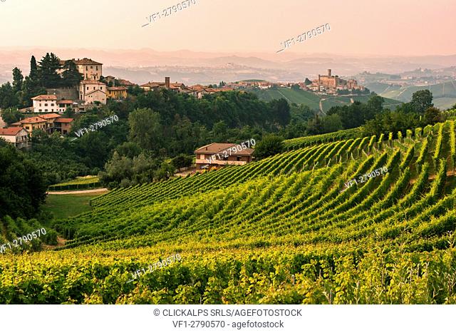 Italy, Piedmont, Cuneo district, Langhe, Castiglione Falletto, the vineyards and the castle of Castiglione Falletto