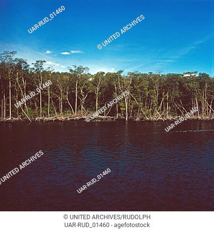 Die Landschaft der Everglades, Florida, USA 1980er Jahre. Landscape of the Everglades, Florida, USA 1980s