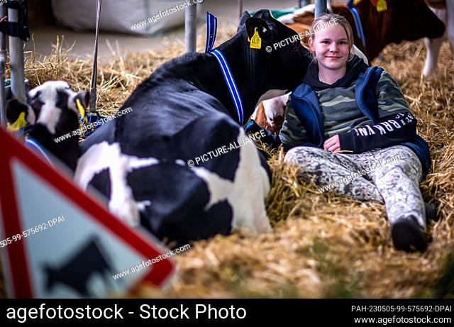 05 May 2023, Mecklenburg-Western Pomerania, Karow: The young breeder Diana Liebnow from Greifswald cuddles with the young animal ""Baila"" during a break at the...