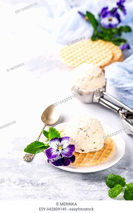 Vanilla ice cream scoop with edible flowers pansy. Summer food concept with copy space