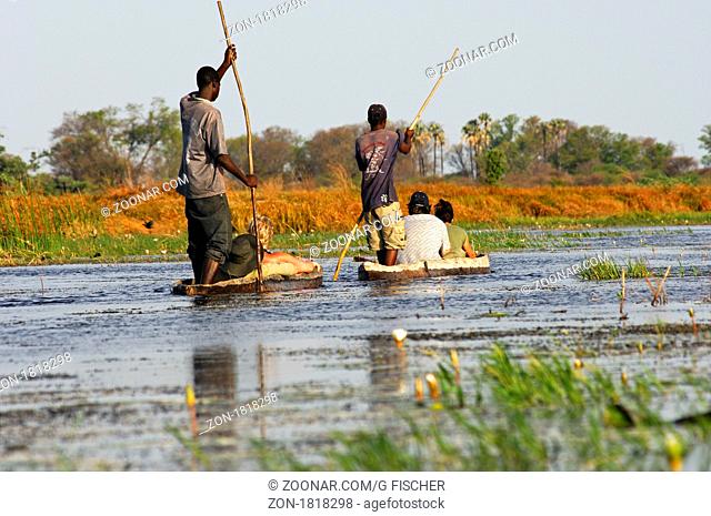 Kahnfahrer mit Touristen in traditionellen Mokoro Einbäumen auf Exkursion im Okavango Delta, Botswana / Polers with tourists in a tradiional mokoro logboats on...