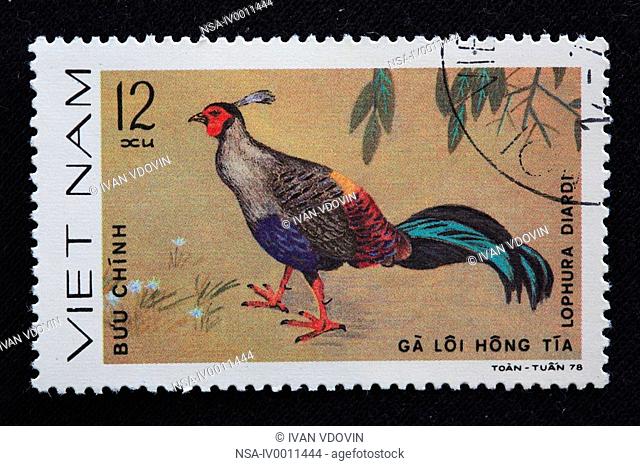 Siamese Fireback Lophura diardi, postage stamp, Vietnam, 1978